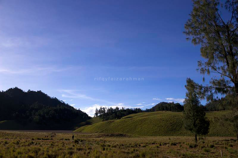 Oro-oro Ombo Gunung Semeru
